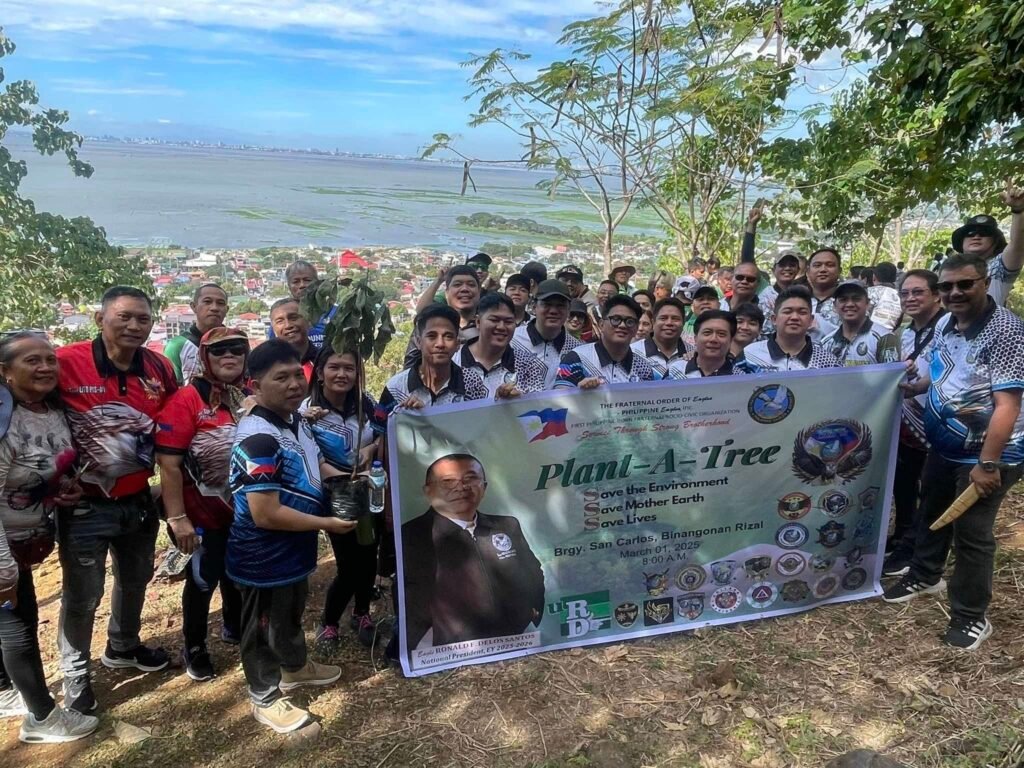 Activity 7